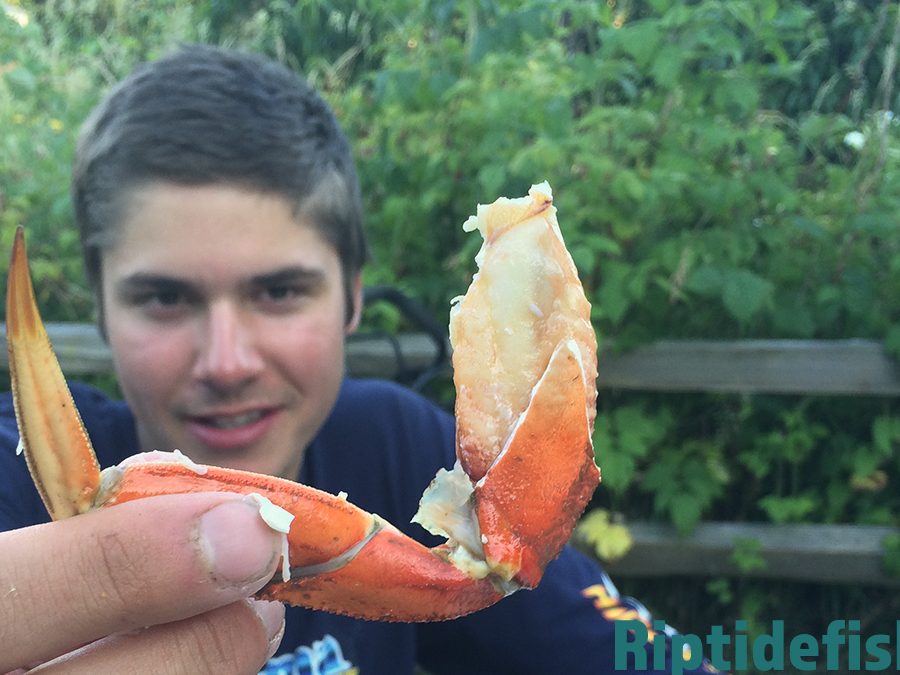 La guía definitiva para pescar cangrejos en Puget Sound Dungeness