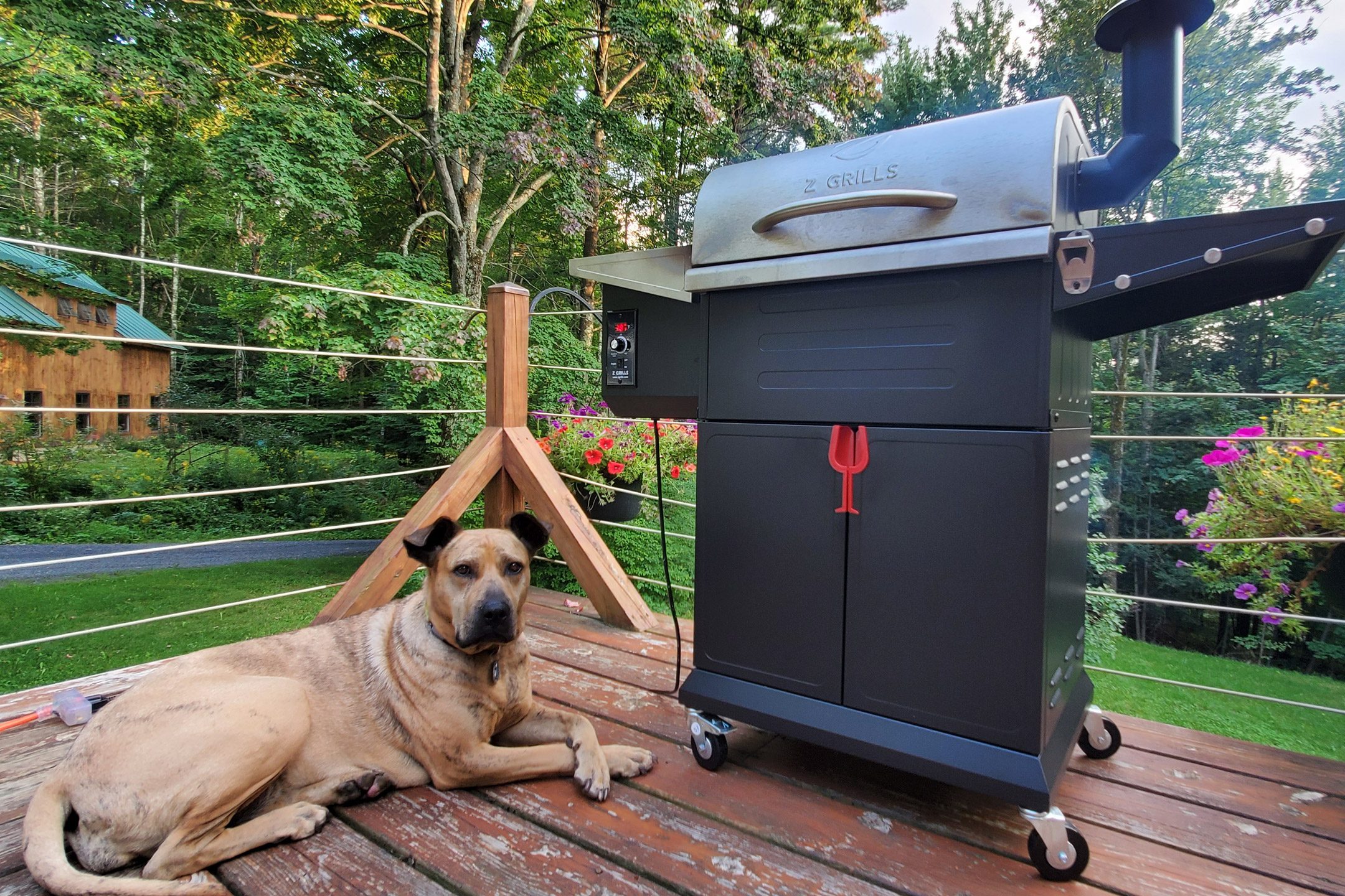 Revisión de Z Grills Flame Elite: parrilla de pellets asequible que fuma ...